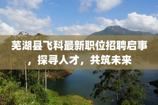 蕪湖縣飛科最新職位招聘啟事，探尋人才，共筑未來