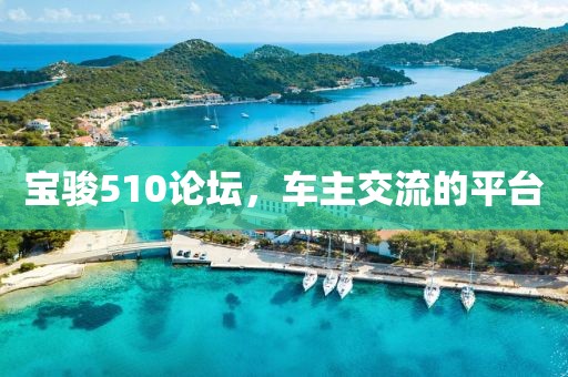 寶駿510論壇，車主交流的平臺