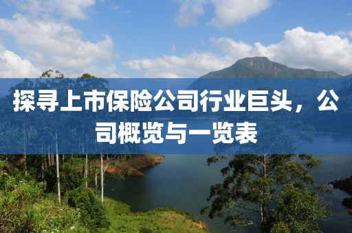 探尋上市保險公司行業(yè)巨頭，公司概覽與一覽表