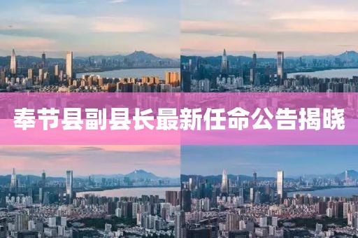 奉節(jié)縣副縣長最新任命公告揭曉