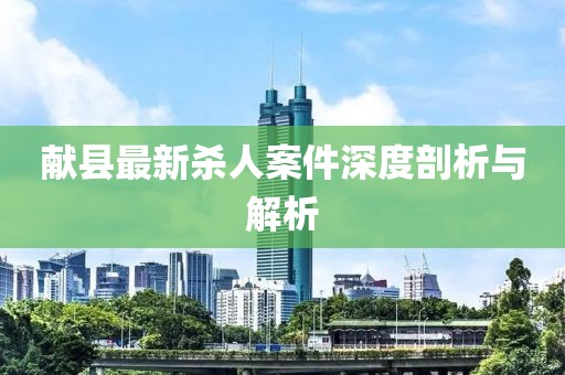 獻縣最新殺人案件深度剖析與解析