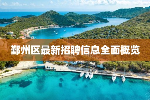 鄞州區(qū)最新招聘信息全面概覽