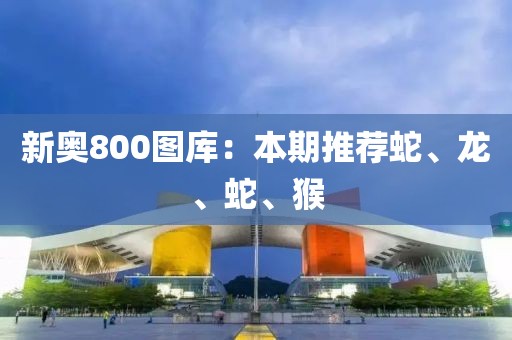新奧800圖庫：本期推薦蛇、龍、蛇、猴