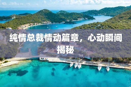 純情總裁情動篇章，心動瞬間揭秘