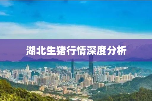 湖北生豬行情深度分析