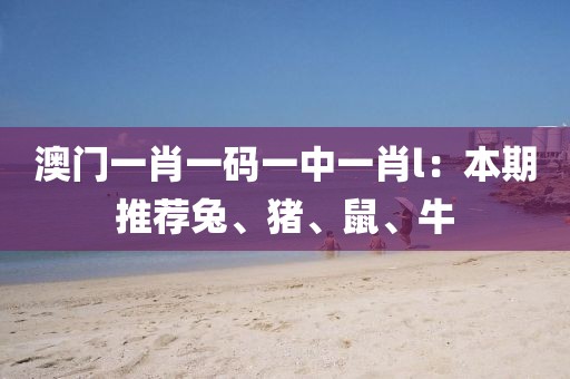 澳門一肖一碼一中一肖l：本期推薦兔、豬、鼠、牛