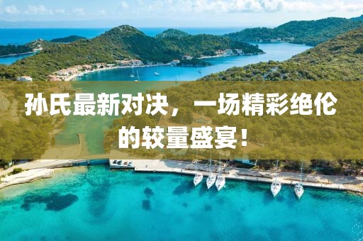 孫氏最新對決，一場精彩絕倫的較量盛宴！