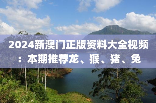 2024新澳門正版資料大全視頻：本期推薦龍、猴、豬、兔