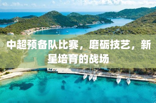 七街城酒 第16頁