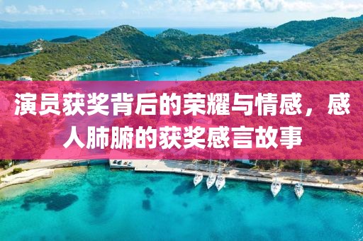 演員獲獎背后的榮耀與情感，感人肺腑的獲獎感言故事