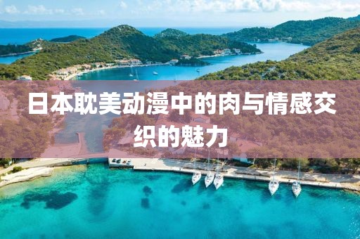 日本耽美動(dòng)漫中的肉與情感交織的魅力