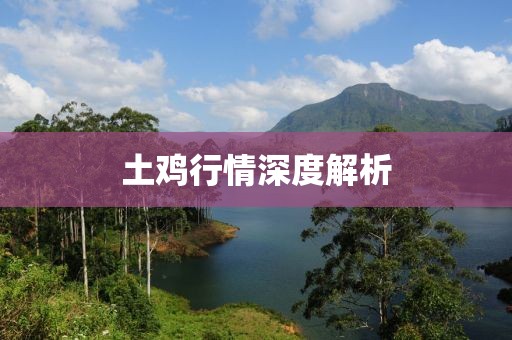 土雞行情深度解析