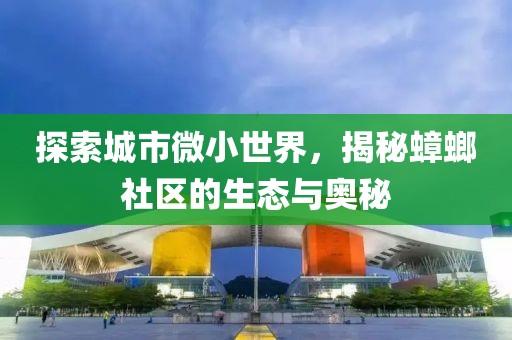 探索城市微小世界，揭秘蟑螂社區(qū)的生態(tài)與奧秘