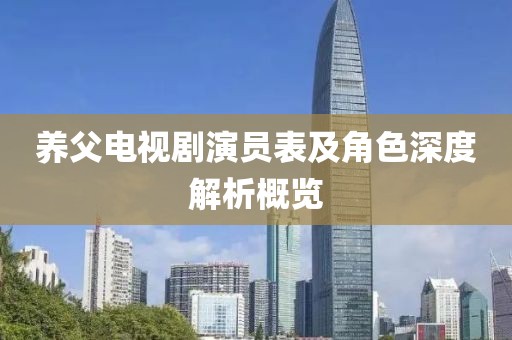 養(yǎng)父電視劇演員表及角色深度解析概覽