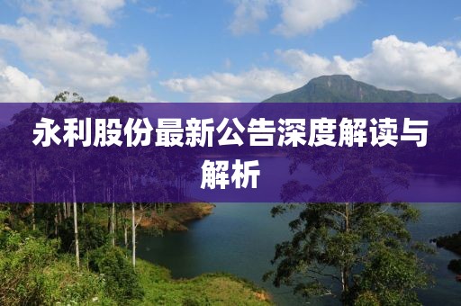 永利股份最新公告深度解讀與解析