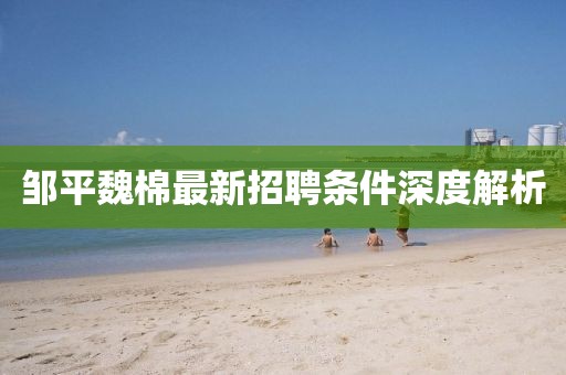 鄒平魏棉最新招聘條件深度解析