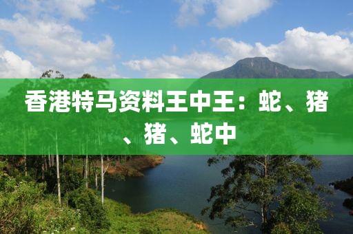 香港特馬資料王中王：蛇、豬、豬、蛇中