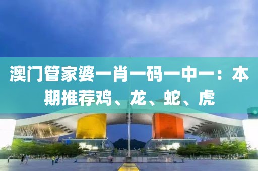 澳門(mén)管家婆一肖一碼一中一：本期推薦雞、龍、蛇、虎