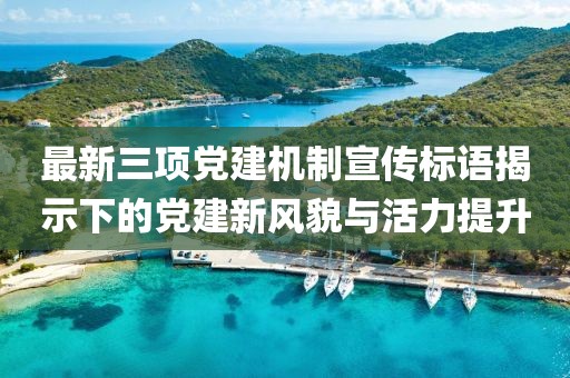 最新三項黨建機制宣傳標語揭示下的黨建新風(fēng)貌與活力提升