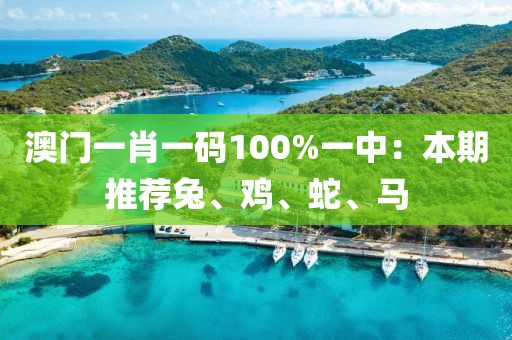 澳門一肖一碼100%一中：本期推薦兔、雞、蛇、馬
