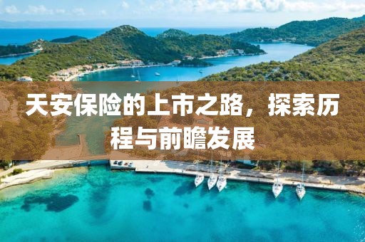 天安保險(xiǎn)的上市之路，探索歷程與前瞻發(fā)展