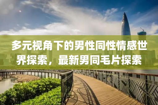 多元視角下的男性同性情感世界探索，最新男同毛片探索