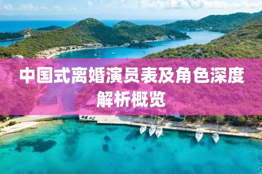 中國(guó)式離婚演員表及角色深度解析概覽