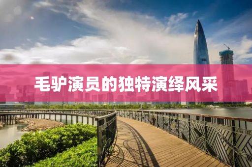 毛驢演員的獨特演繹風(fēng)采