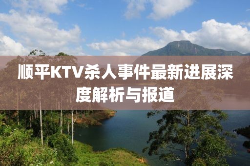 順平KTV殺人事件最新進展深度解析與報道