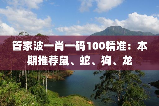 管家波一肖一碼100精準(zhǔn)：本期推薦鼠、蛇、狗、龍