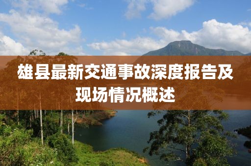 雄縣最新交通事故深度報(bào)告及現(xiàn)場(chǎng)情況概述