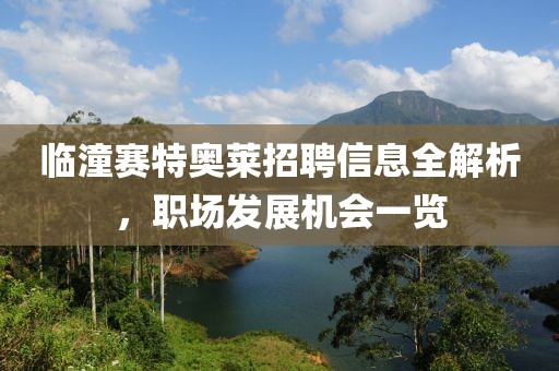 臨潼賽特奧萊招聘信息全解析，職場發(fā)展機會一覽