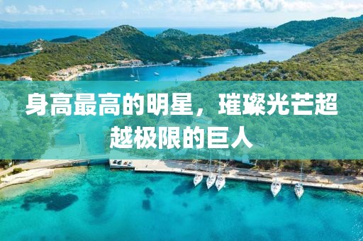 身高最高的明星，璀璨光芒超越極限的巨人
