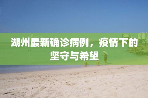湖州最新確診病例，疫情下的堅守與希望