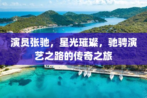 演員張馳，星光璀璨，馳騁演藝之路的傳奇之旅