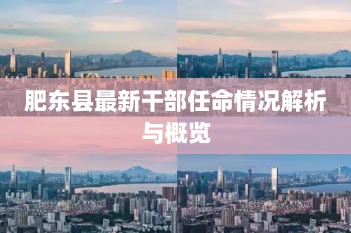 肥東縣最新干部任命情況解析與概覽