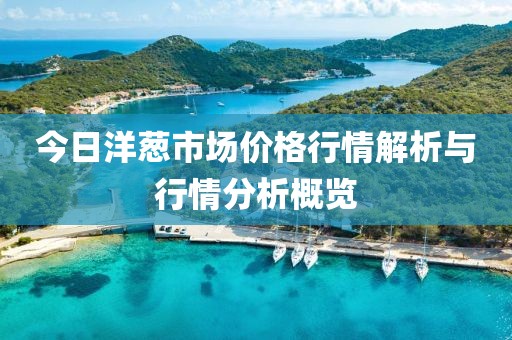今日洋蔥市場(chǎng)價(jià)格行情解析與行情分析概覽
