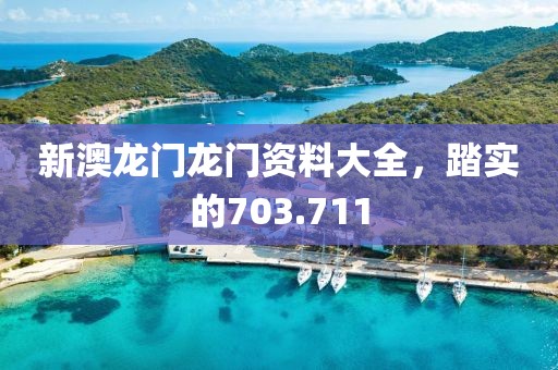 新澳龍門(mén)龍門(mén)資料大全，踏實(shí)的703.711