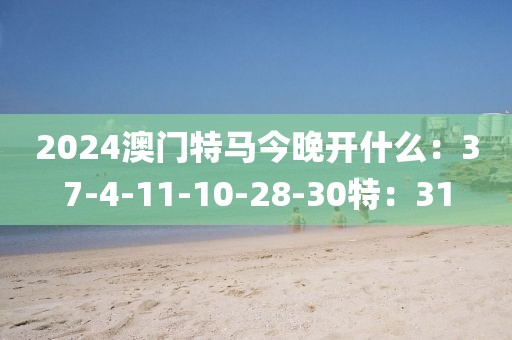 2024澳門特馬今晚開什么：37-4-11-10-28-30特：31