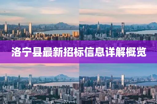 洛寧縣最新招標(biāo)信息詳解概覽