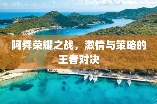 阿舜榮耀之戰(zhàn)，激情與策略的王者對決