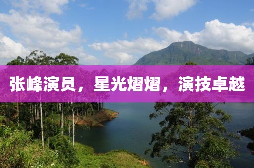 張峰演員，星光熠熠，演技卓越