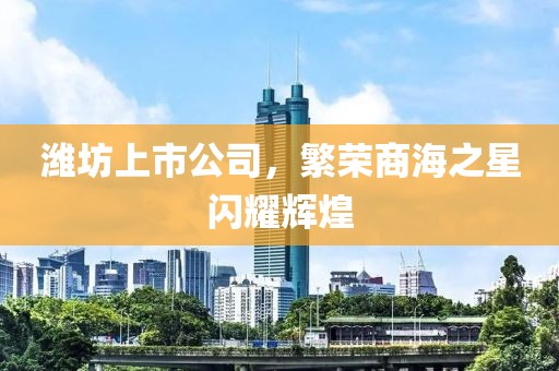 濰坊上市公司，繁榮商海之星閃耀輝煌