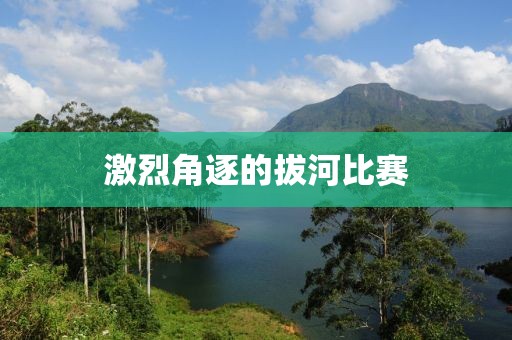 激烈角逐的拔河比賽