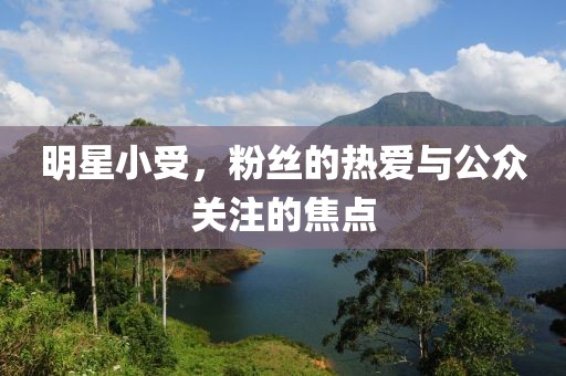 明星小受，粉絲的熱愛與公眾關(guān)注的焦點