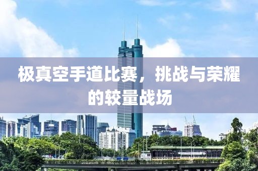 極真空手道比賽，挑戰(zhàn)與榮耀的較量戰(zhàn)場