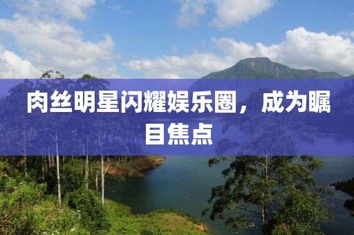 肉絲明星閃耀娛樂(lè)圈，成為矚目焦點(diǎn)