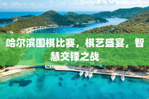 哈爾濱圍棋比賽，棋藝盛宴，智慧交鋒之戰(zhàn)