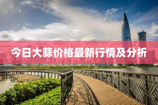 今日大蒜價(jià)格最新行情及分析