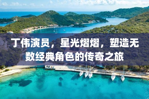 丁偉演員，星光熠熠，塑造無數(shù)經(jīng)典角色的傳奇之旅